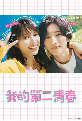 保健品seo优化运营